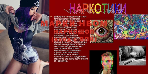 мяу мяу мука Баксан
