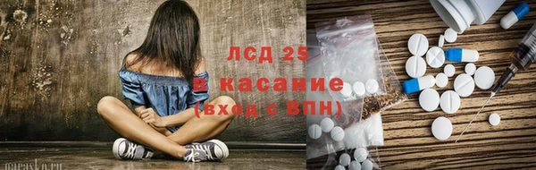 мяу мяу мука Баксан