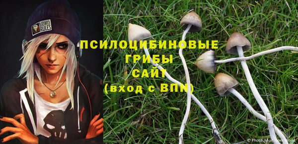 а пвп мука Балахна