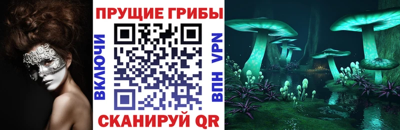 где найти   Верхнеуральск  Псилоцибиновые грибы мицелий 